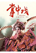 掌中戏封面