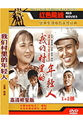 《我们村里的年轻人(续集)》封面
