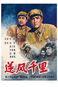 逆风千里封面