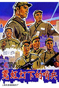 《霓虹灯下的哨兵》封面