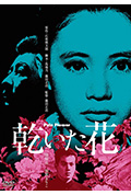 《干花》封面