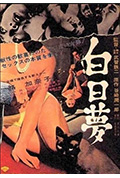白日梦封面