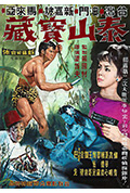 泰山与宝藏封面