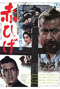 红胡子封面