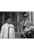 《春残花未落》封面