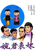 婉君表妹封面
