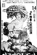 《美丽的瞳孔》封面