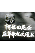《阿尔巴尼亚在革命化大道上》封面