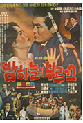 《밤하늘의 부르스》封面