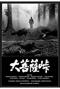大菩萨岭封面