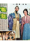 审妻封面