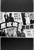 《黑玫瑰与黑玫瑰》封面