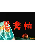 《鸳鸯帕》封面