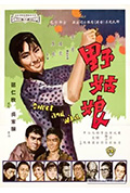 野姑娘封面