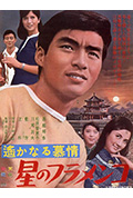 《天伦泪》封面