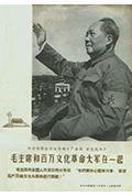 毛主席和百万文化革命大军在一起封面