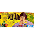白领丽人封面