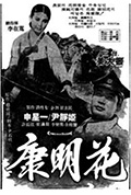 《康明花》封面