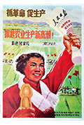 《抓革命促生产 掀起农业生产新高潮》封面