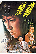兰姨封面