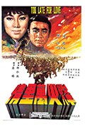 烽火万里情封面