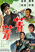 菁菁封面