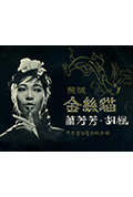 《飞贼金丝猫》封面