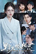 《野火烬相思》封面
