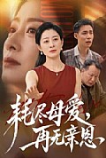 《耗尽母爱,再无亲恩》封面