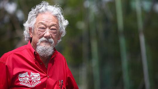 大卫·铃木 David Suzuki照片