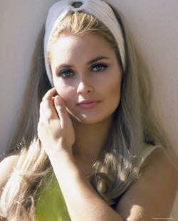 亚历山德拉·巴斯蒂杜 Alexandra Bastedo照片