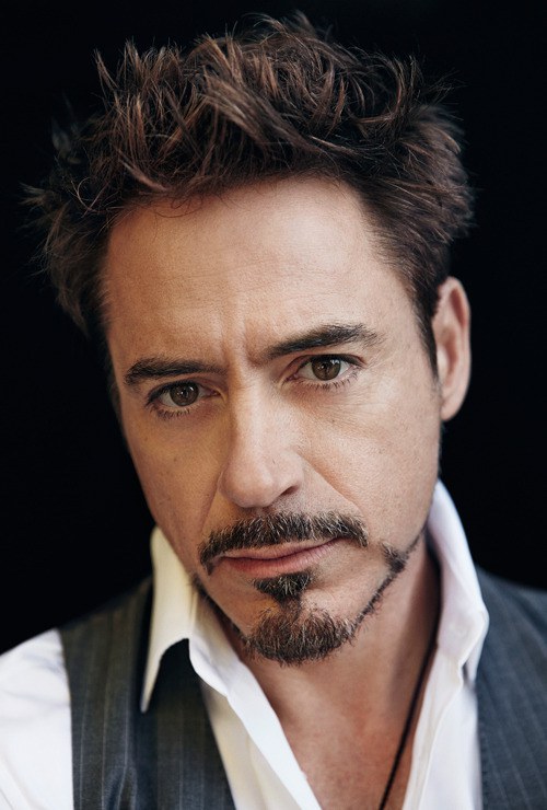 小罗伯特·唐尼 Robert Downey Jr.照片