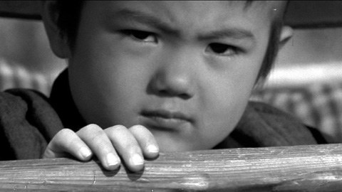 富川晶宏 Akihiro Tomikawa照片