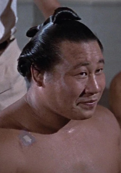 佐田之山晋松 Sadanoyama照片