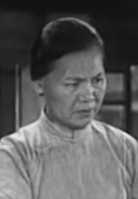 丁凤英 Fengying Ding照片