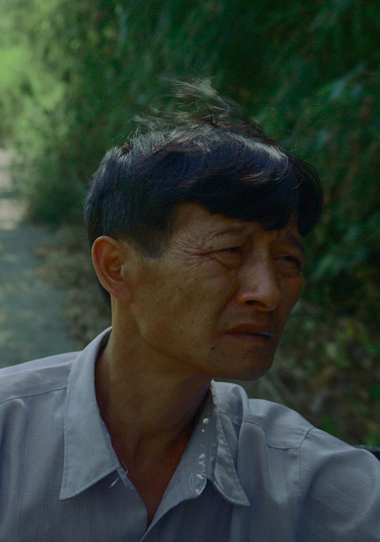 杨秀华 Xiuhua Yang照片