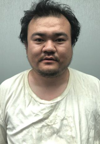 南鑫 Xin Nan照片