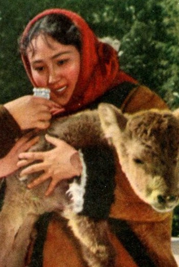 热希妲照片