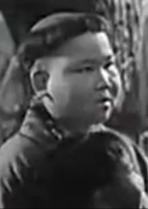 闻林泉 Linquan Wen照片