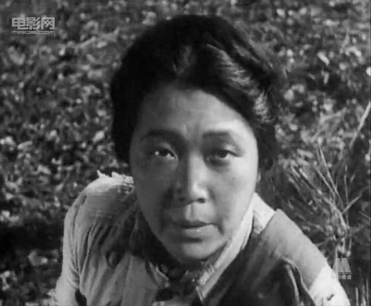 柏李 Li Bo照片