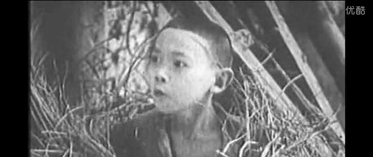 张哲德 Zhede Zhang照片