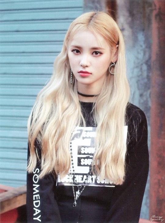 郑真率 JinSoul照片