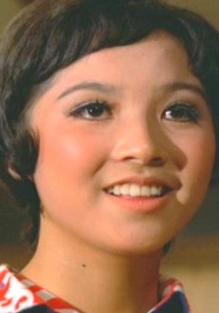 张淑仪 Suk-Yee Cheung照片