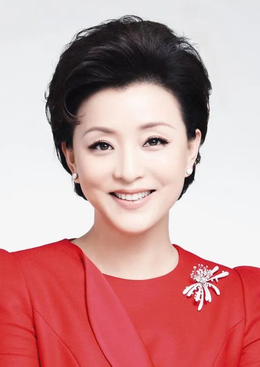 杨澜 Lan Yang照片