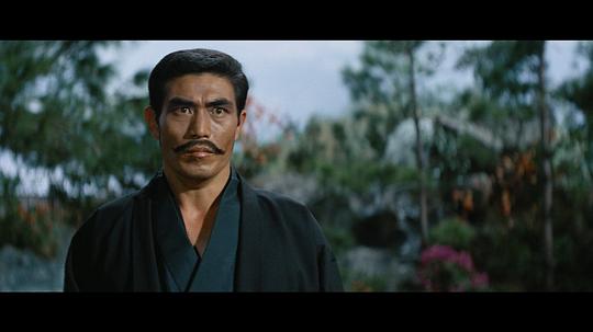 桥本力 Riki Hashimoto照片