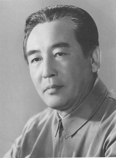 王培 Pei Wang照片