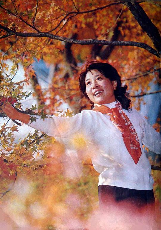 刘玉 Yu Liu照片