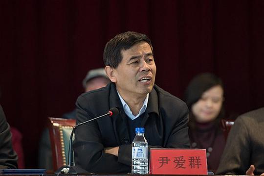 尹爱群 Aiqun Yin照片