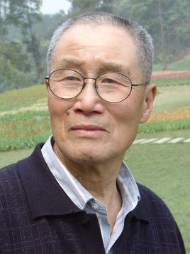 张其 Qi Zhang照片