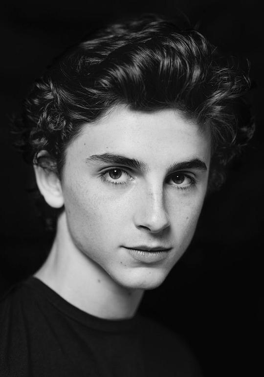 提莫西·查拉梅 Timothée Chalamet照片